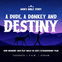 A Dude, A Donkey, and Destiny | Part 3 | 12.23.25 | Justin Hillhouse