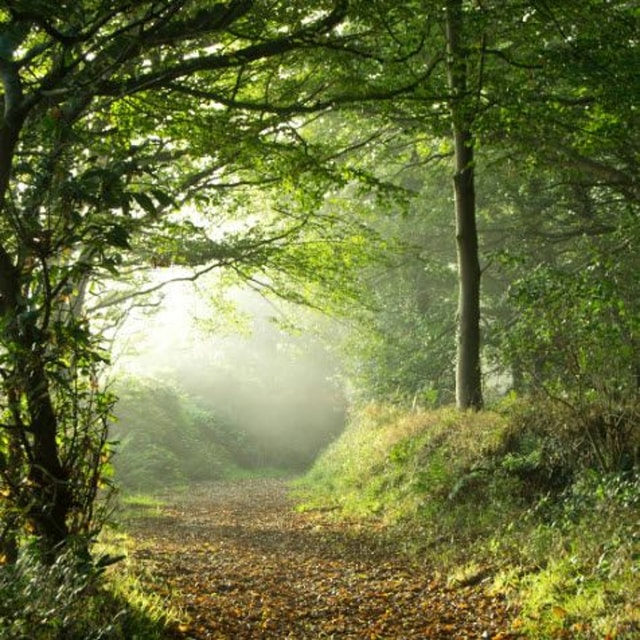 The Way, Truth & Life