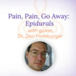 "Pain, Pain, Go Away: Epidurals" - with Dr. Zevi Hamburger