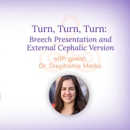"Turn, Turn, Turn: Breech Presentation and External Cephalic Version" - with Dr. Stephanie Melka