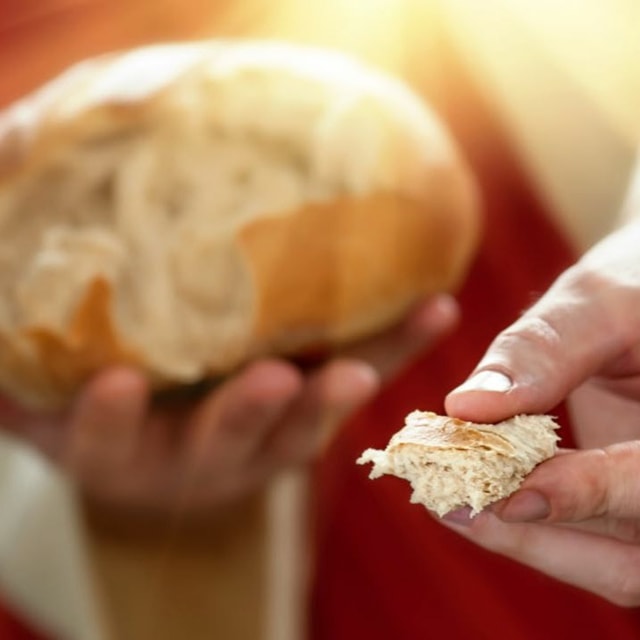The Bread of Life