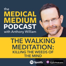 110 The Walking Meditation: Killing The Weeds Of The Mind