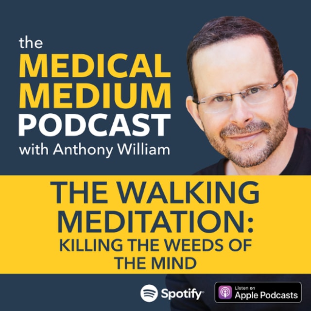 110 The Walking Meditation: Killing The Weeds Of The Mind