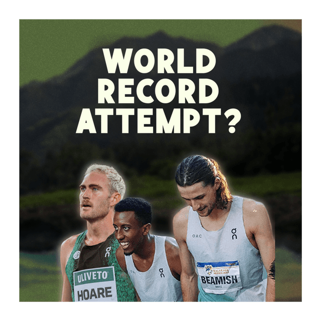 RACE WEEK: USA XC, Morgan's Half, Alex Yee's 2:06 & The Merrie Mile