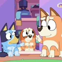 VINTAGE GOTTA BE DONE: The Show (aka Advice for the Ages)