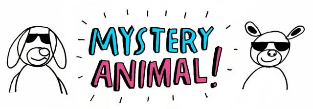 #17 Mystery Animal!