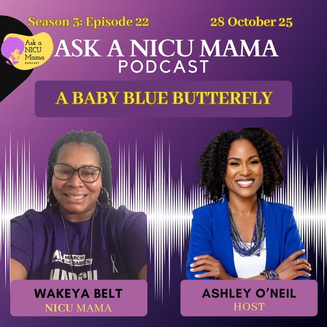 A Baby Blue Butterfly with Wakeya