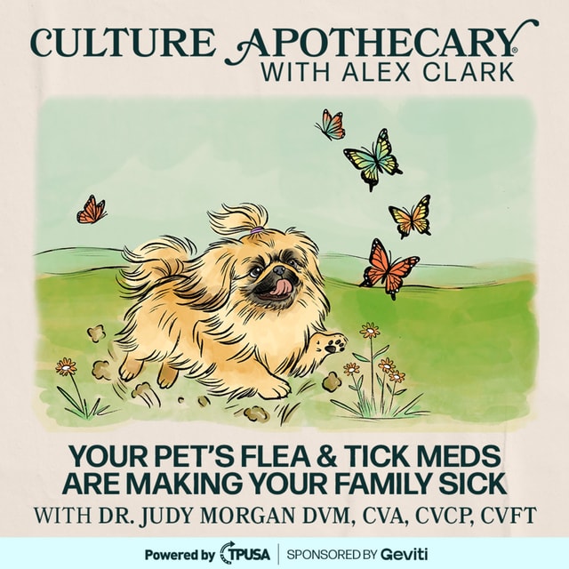 Your Pet’s Flea & Tick Meds Are Making Your Family Sick | Dr. Judy Morgan, DVM