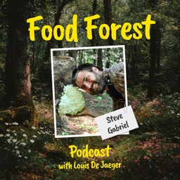 Food Forest Podcast: Steve Gabriel – How do you farm the woods? Eat more fungi!
