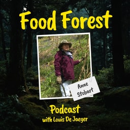 Food Forest Podcast: Anne Stobart – How to start a medicinal food forest?
