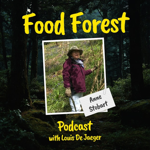 Food Forest Podcast: Anne Stobart – How to start a medicinal food forest?