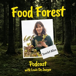 Food Forest Podcast: Scarlet Allen – How to quit your job and go for your food forest dream