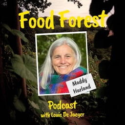 Food Forest Podcast: Maddy Harland – Lessons from 30 Years of Permaculture Magazine