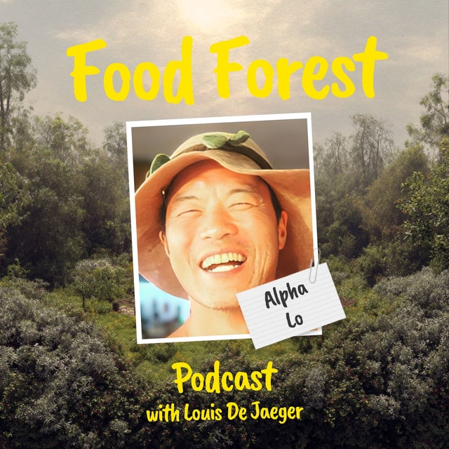 Food Forest Podcast: Alpha Lo – How to restore water cycles with food forests