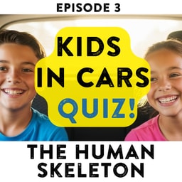 THE HUMAN SKELETON - Can you rattle up the answers? Ep 03