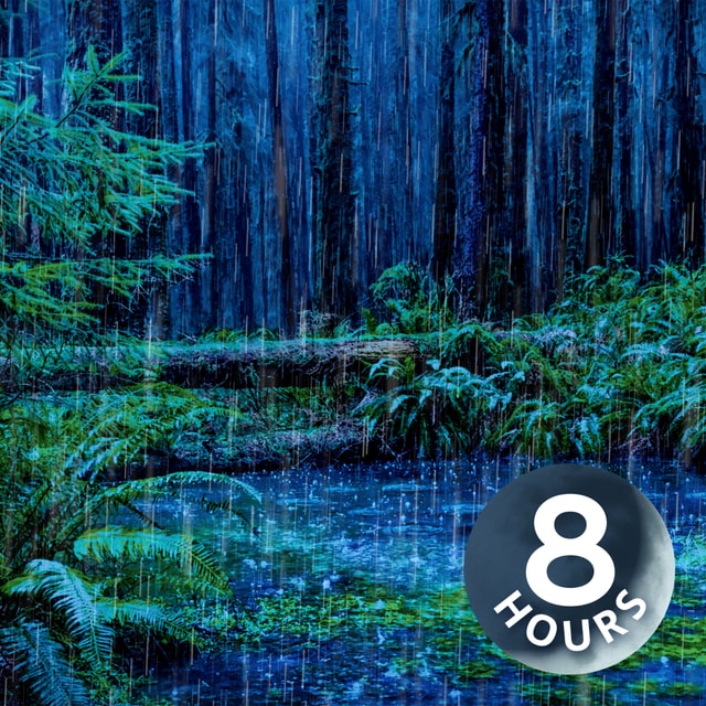 Rain Sleep Noise & Forest Stream | 8 Hour Rain + Water Sounds for Sleeping