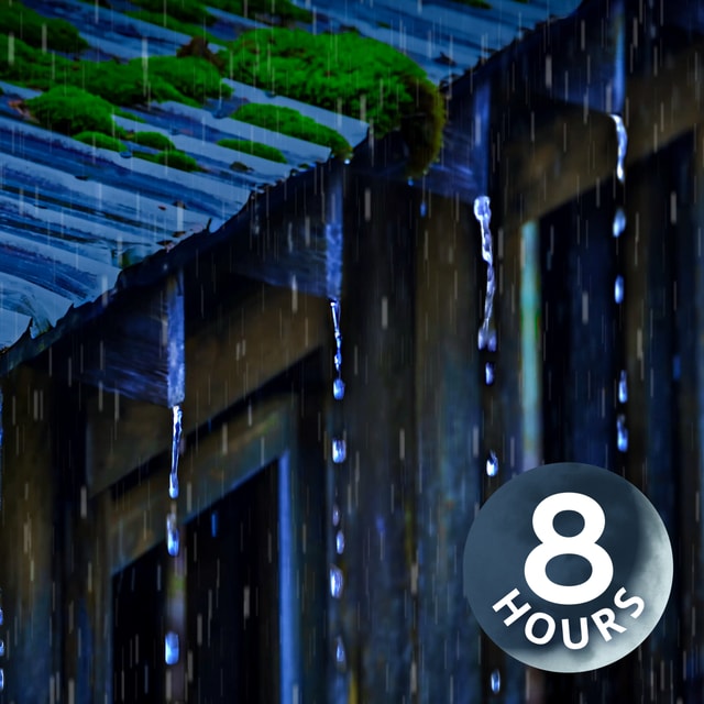 Fall Asleep & Relax with Rain Noise on a Tin Roof | 8 Hours