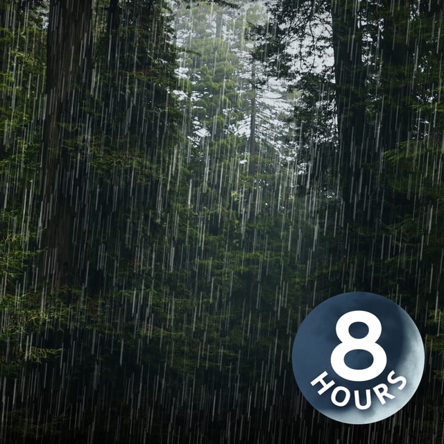 Heavy Rain Sounds for Sleeping & Relaxing | 8-Hour